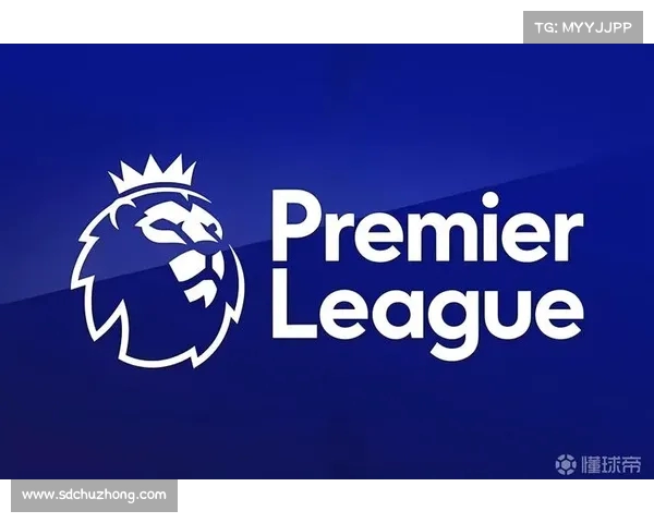 英超品牌价值分析与全球影响力探讨：体育经济新时代的崛起与发展